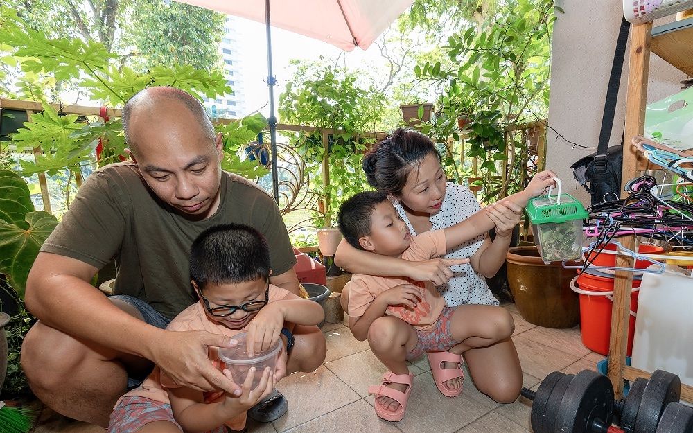 The family at their condo unit's balcony garden, looking at butterfly eggs, caterpillars and pupae.