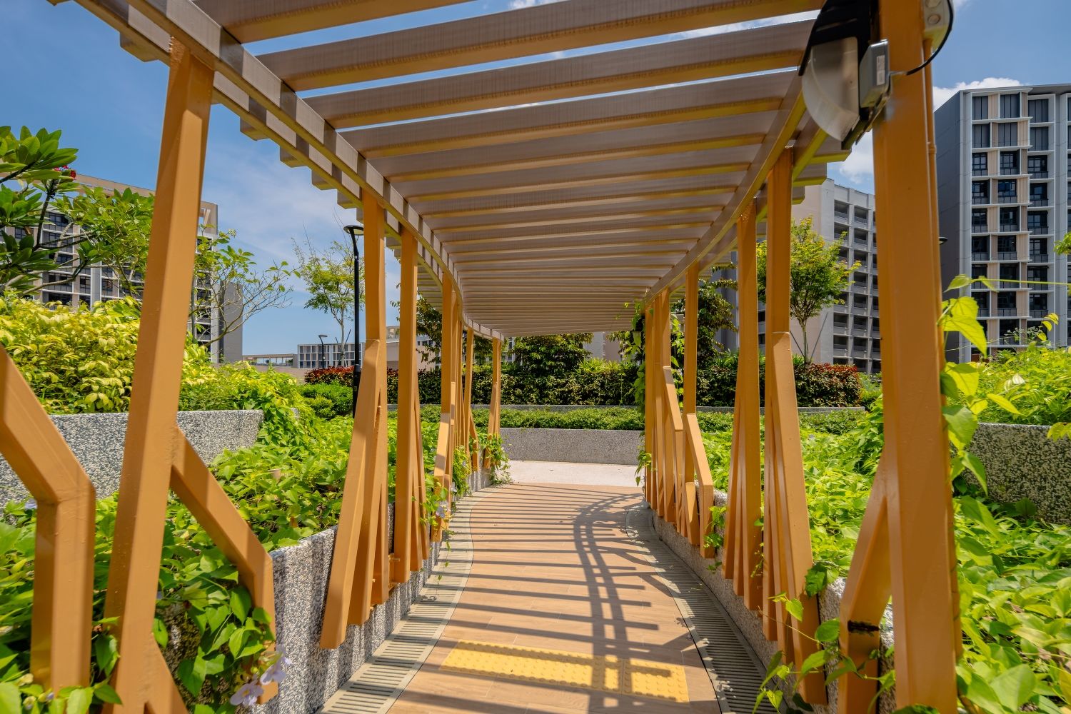 HDB project Tampines GreenOpal - trellised walkway