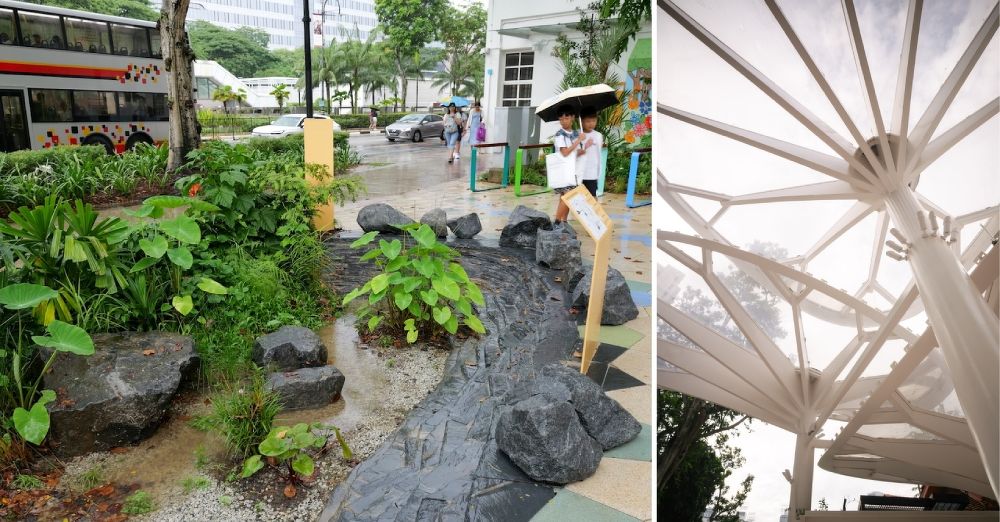 Rain garden and rainwater harvesting system at Temasek Shophouse