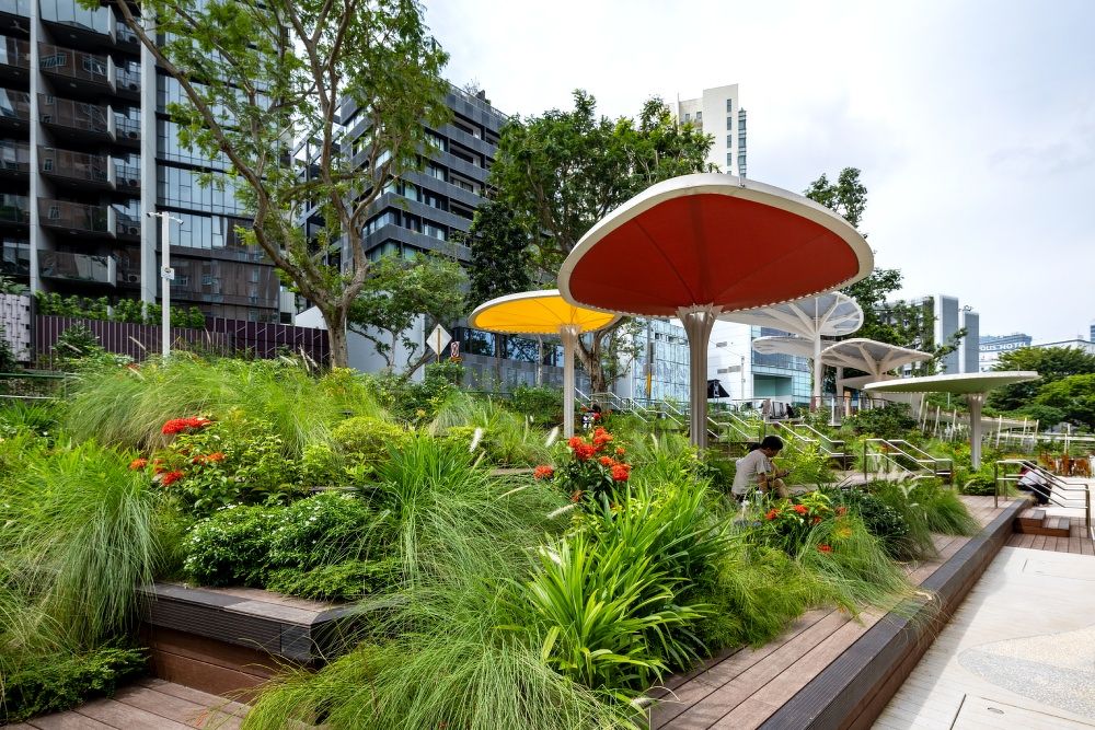 Plants on the terraces at the back of Temasek Shophouse in Dhoby Ghaut along Orchard Road