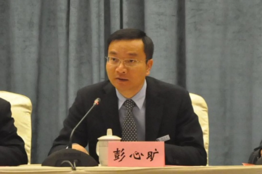 Peng Xinkuang, chairman and former chief executive of Shanghai-based SRE Group Limited. Photo: Weibo